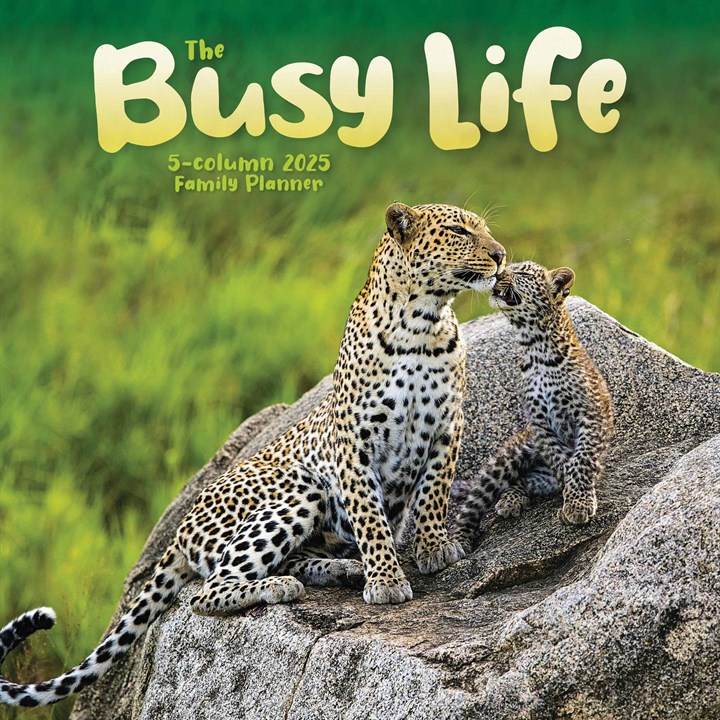 The Busy Life Family Planner 2025