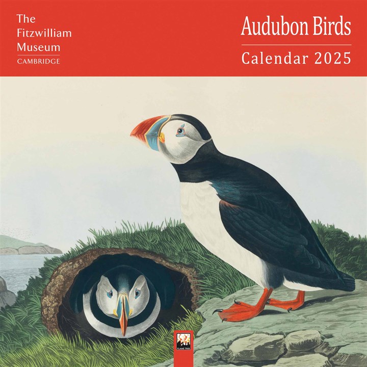 The Fitzwilliam Museum Cambridge, Audubon Birds Calendar 2025
