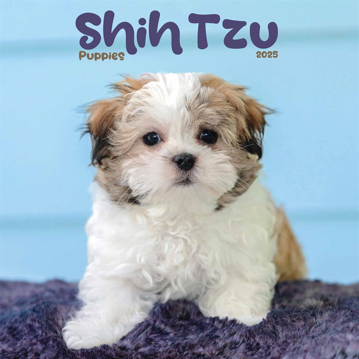 Shih Tzu Puppies Mini Calendar 2025