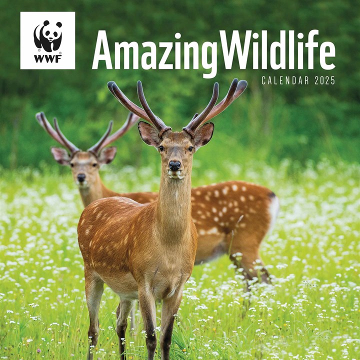 WWF, Amazing Wildlife Calendar 2025
