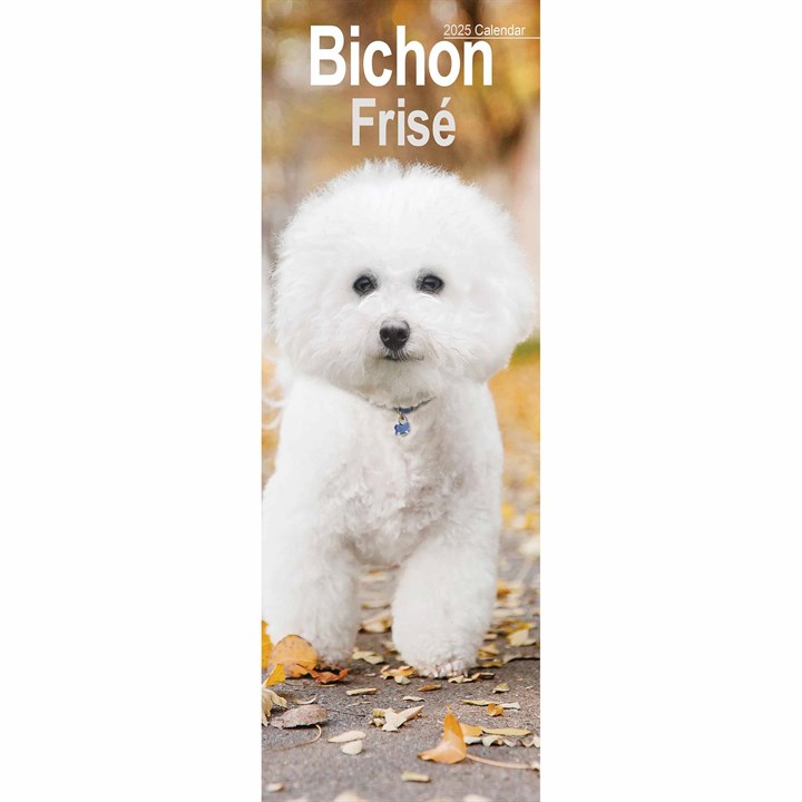 Bichon Frisé Slim Calendar 2025