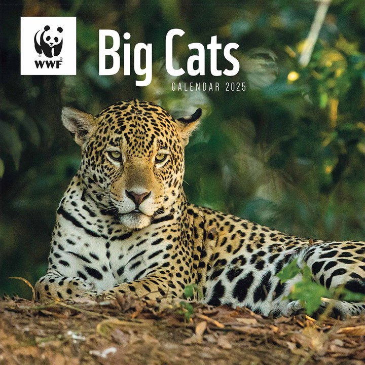 WWF, Big Cats Calendar 2025