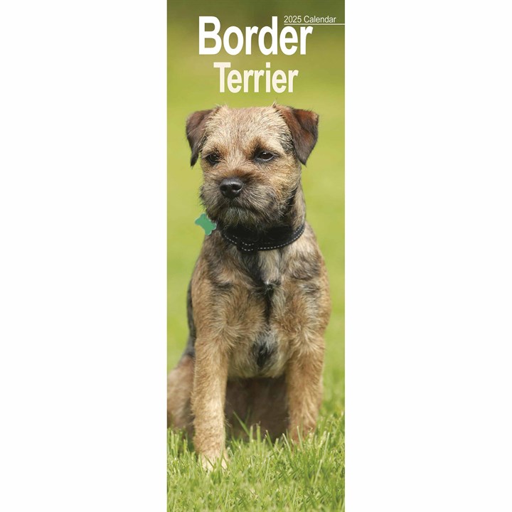 Border Terrier Slim Calendar 2025