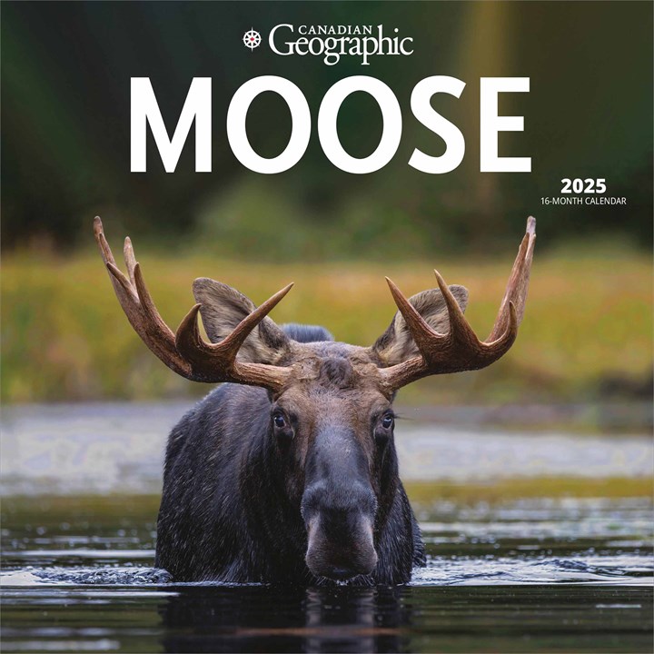Moose Calendar 2025