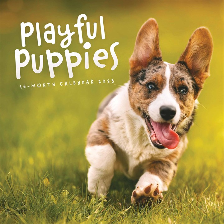 Playful Puppies Calendar 2025