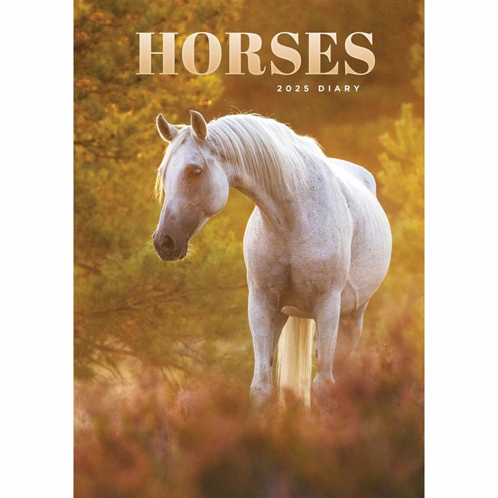 Horses A5 Diary 2025