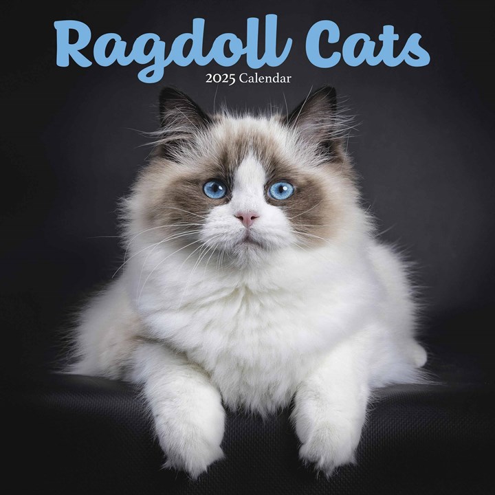 Ragdoll Cats Calendar 2025
