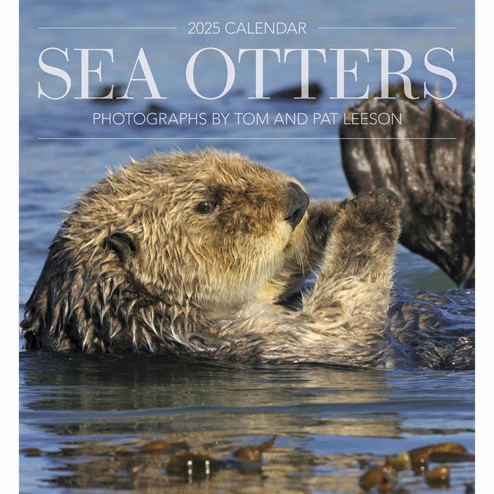 Sea Otters Calendar 2025