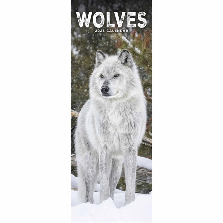 Wolves Slim Calendar 2025