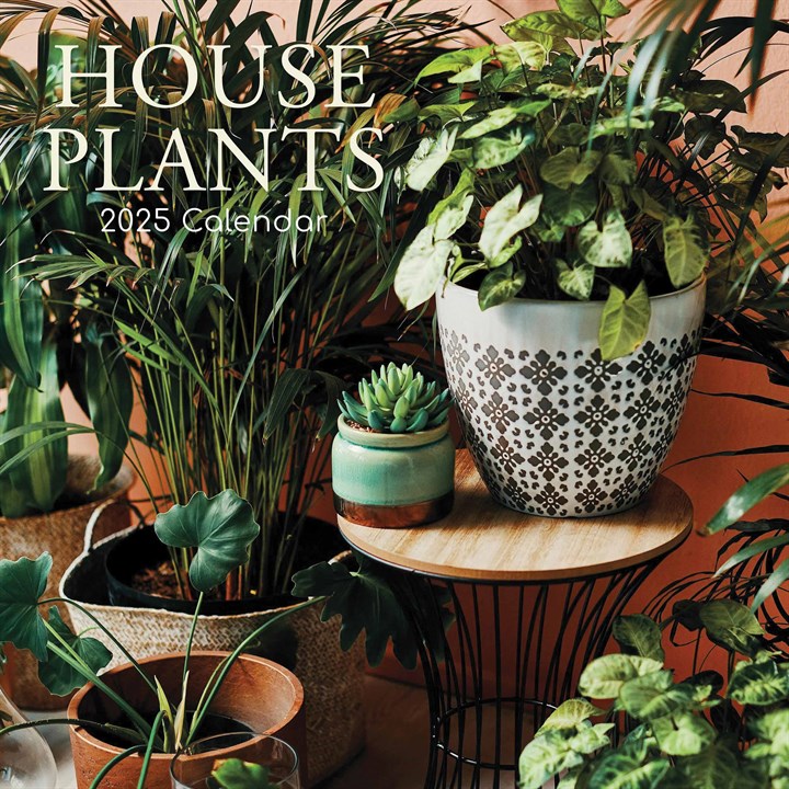 House Plants Calendar 2025