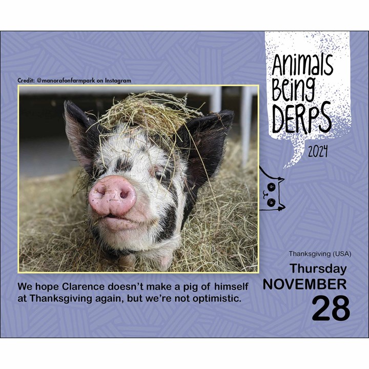Animals Being Derps Desk Calendar 2024
