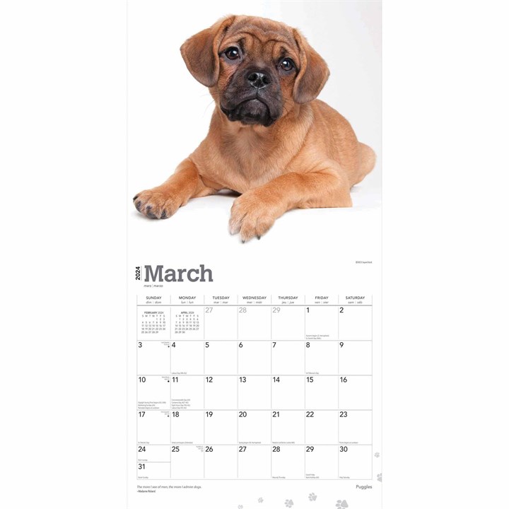 Puggles Calendar 2024