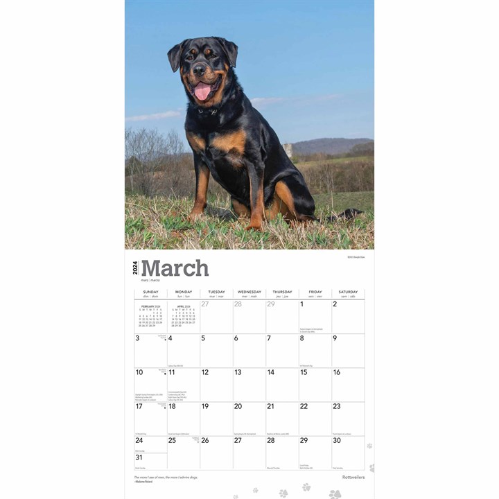 Rottweilers Calendar 2024