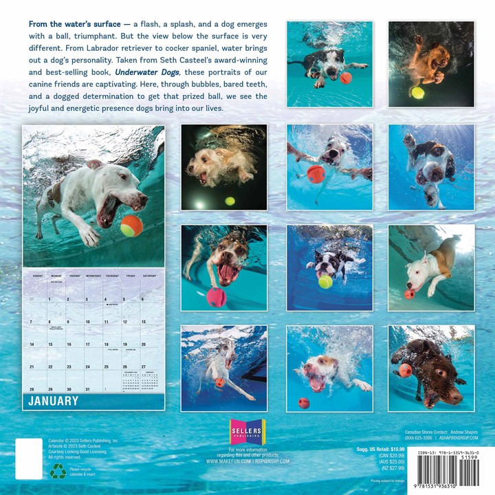 Underwater Dogs Calendar 2024