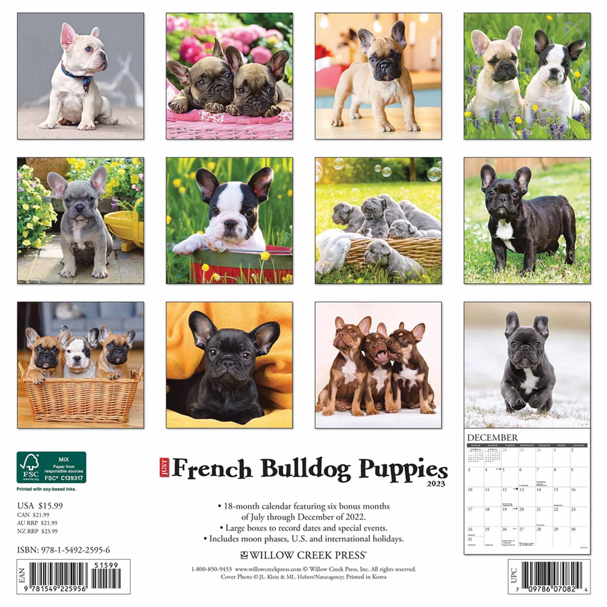 2020 Square Wall Calendar French Bulldogs 