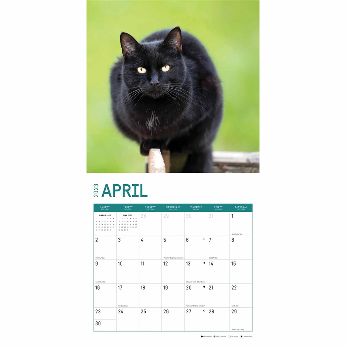 2023 Calendar Cats