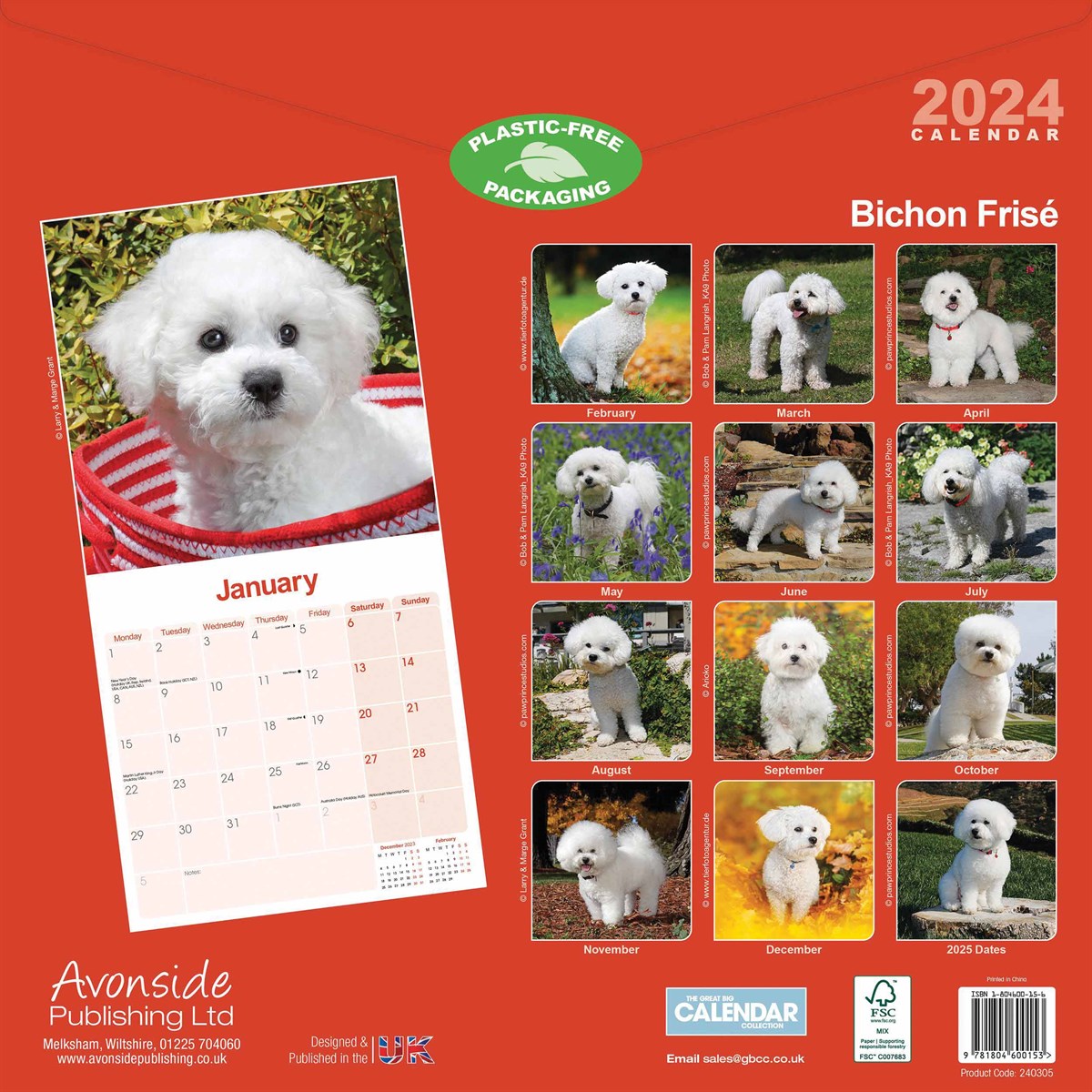 Bichon Frisé Calendar 2024