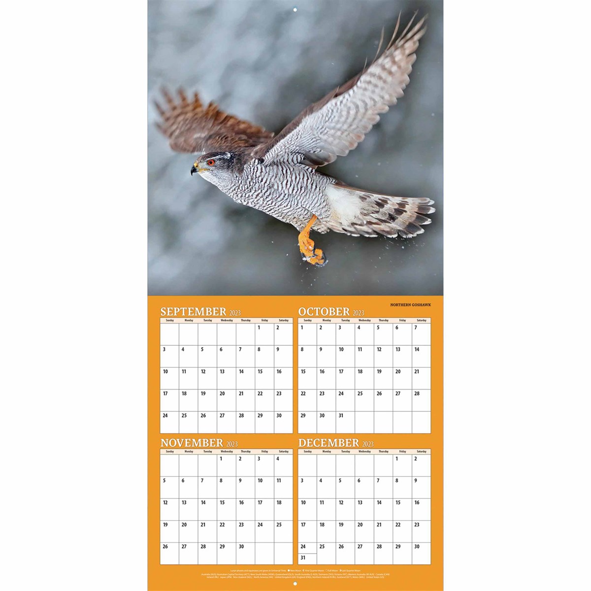 birds-of-prey-calendar-2024