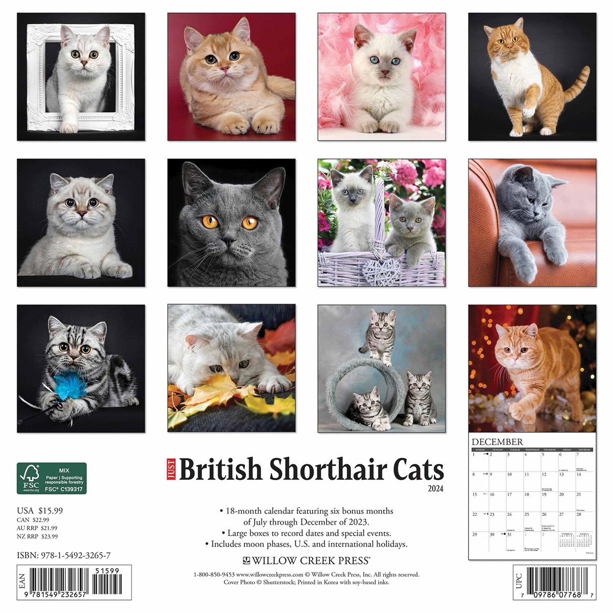 Simon's Cat 2024 Mini Wall Calendar – Willow Creek Press
