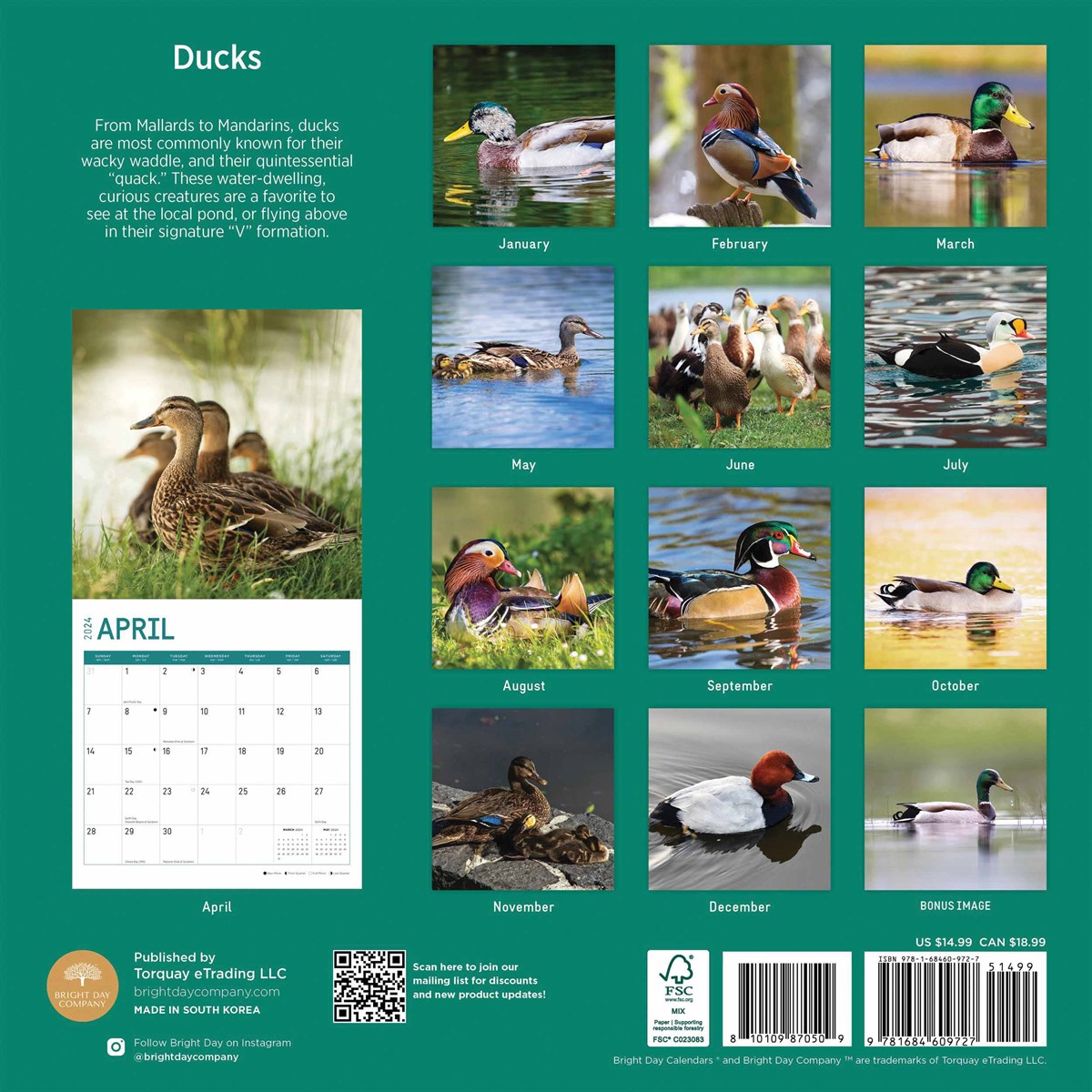 Ducks Calendar 2024