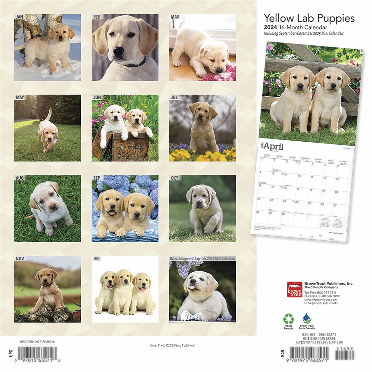 Yellow Lab Puppies Calendar 2024