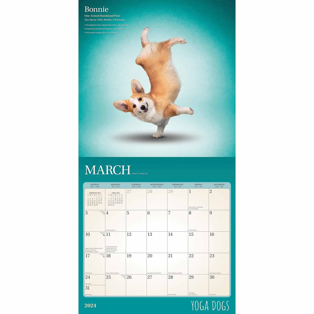 Yoga Dogs Calendar 2024