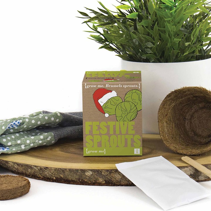 Grow Your Own Festive Sprouts