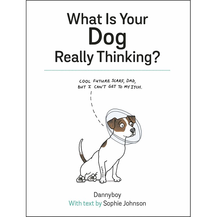 What Is Your Dog Really Thinking? Book