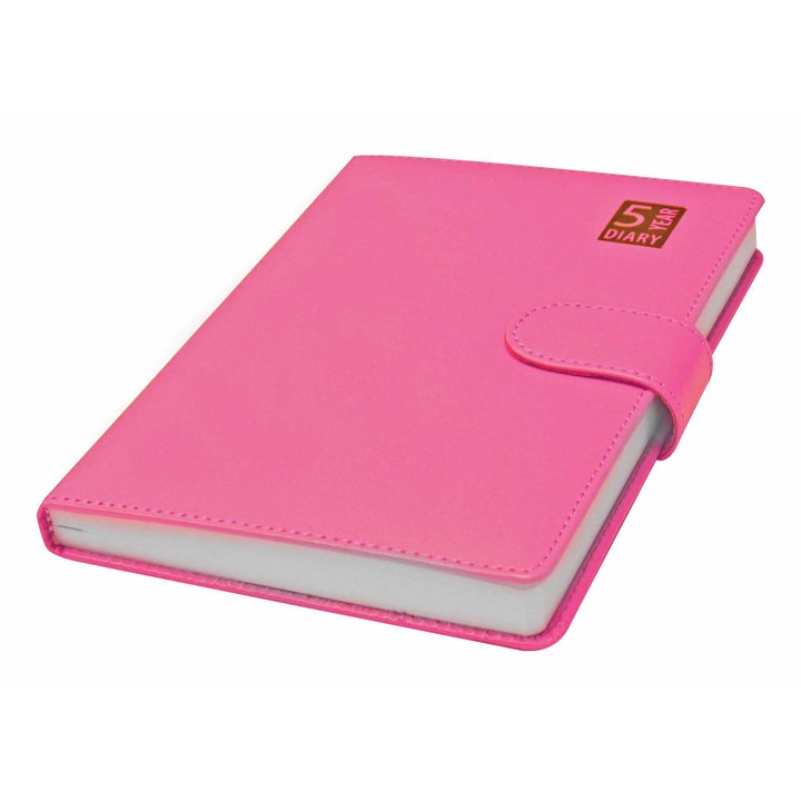 Pink 5 Year Perpetual A5 Diary
