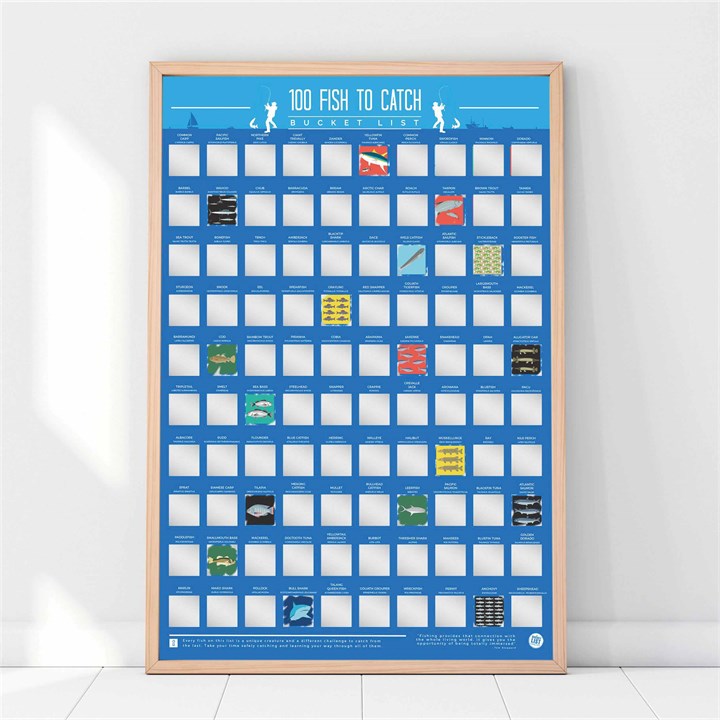100 Fish To Catch Scratch Poster