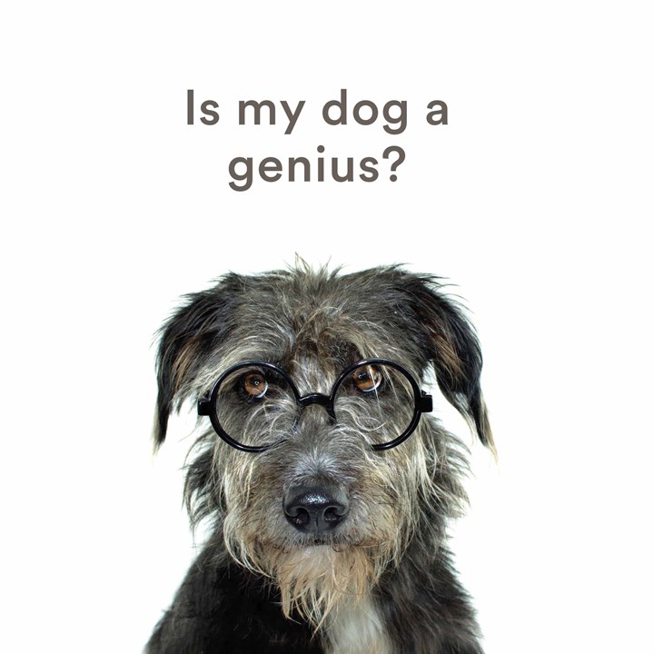 Is My Dog A Genius? Book