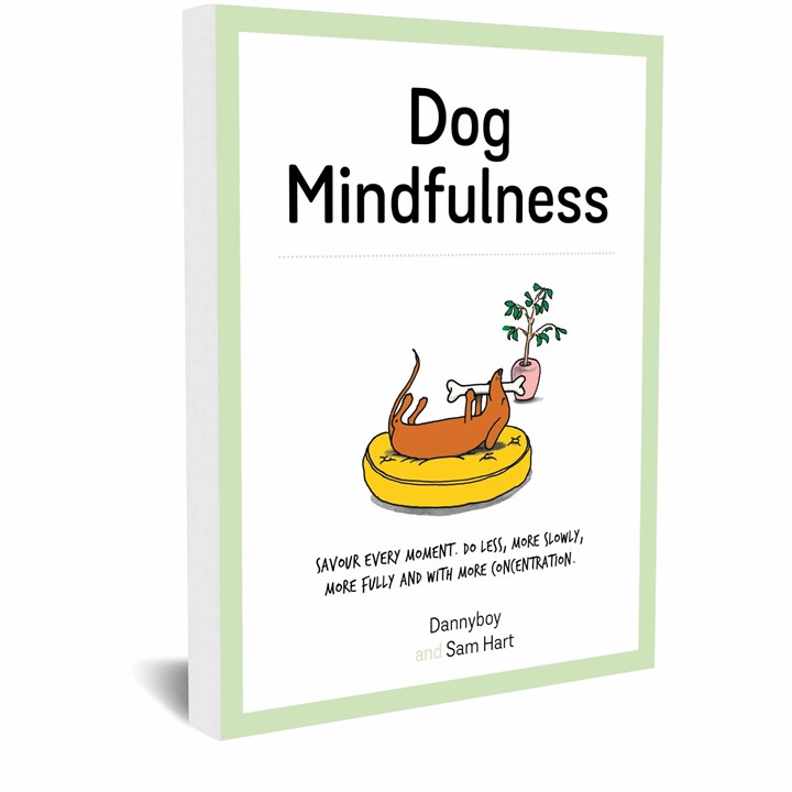 Dog Mindfulness Book