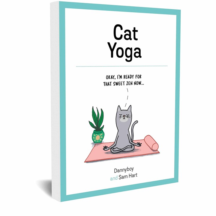 Cat Yoga Book