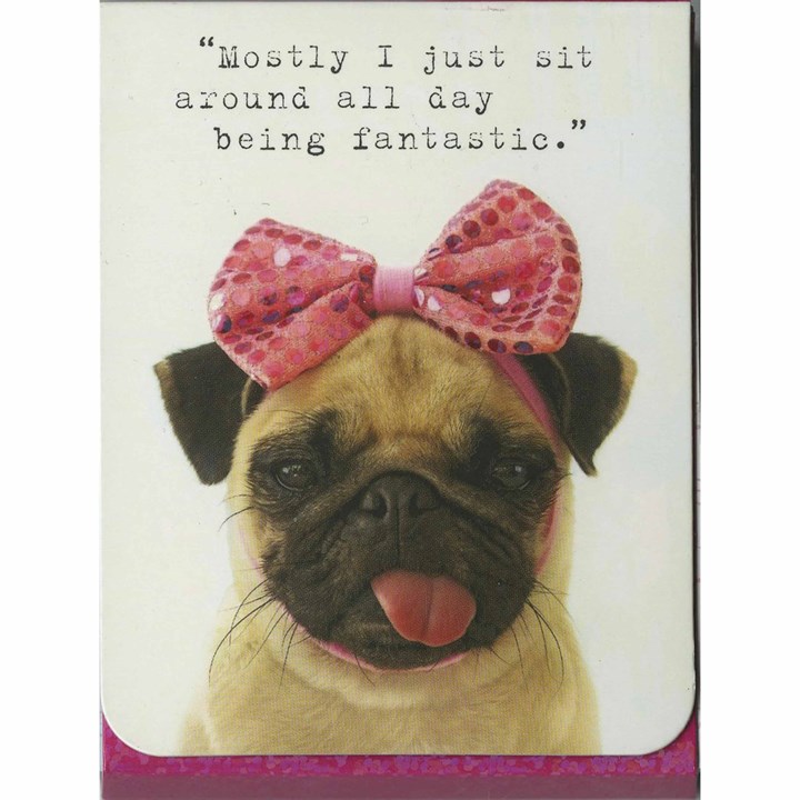 Pug With Bow A7 Notepad