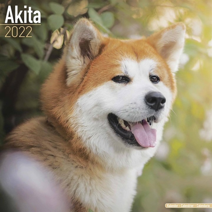 Akita Calendar 2022