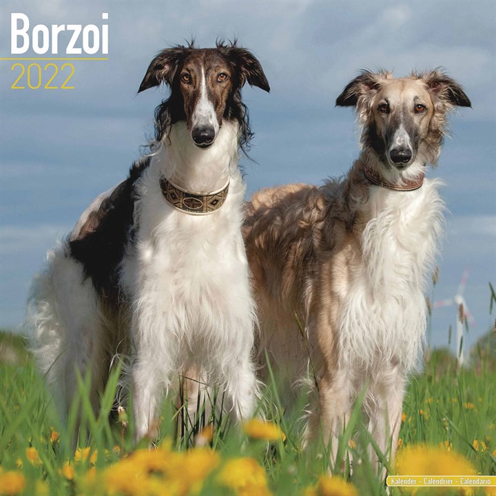 Borzoi Calendar 2022