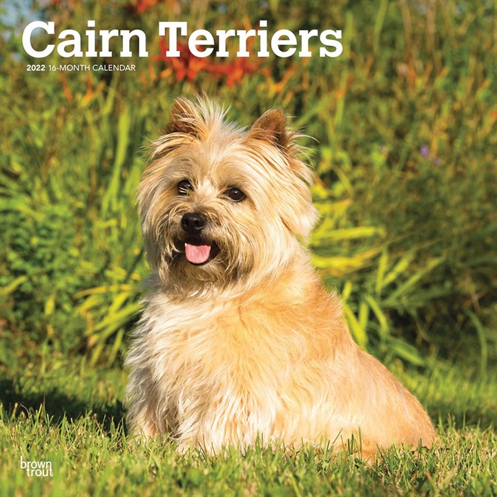 Cairn Terriers Calendar 2022