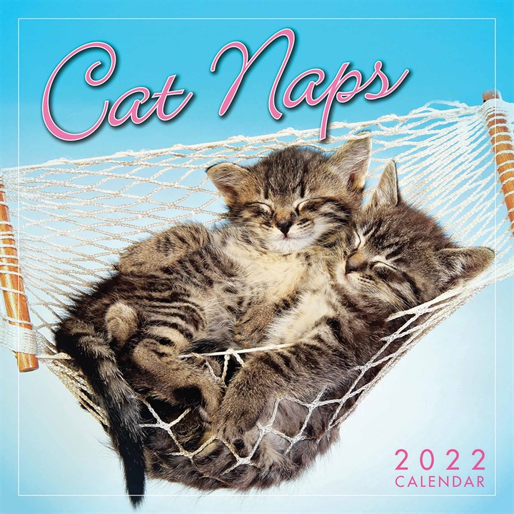 Cat Naps Mini Calendar 2022