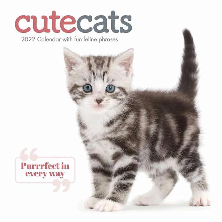 Cute Cats Calendar 2022