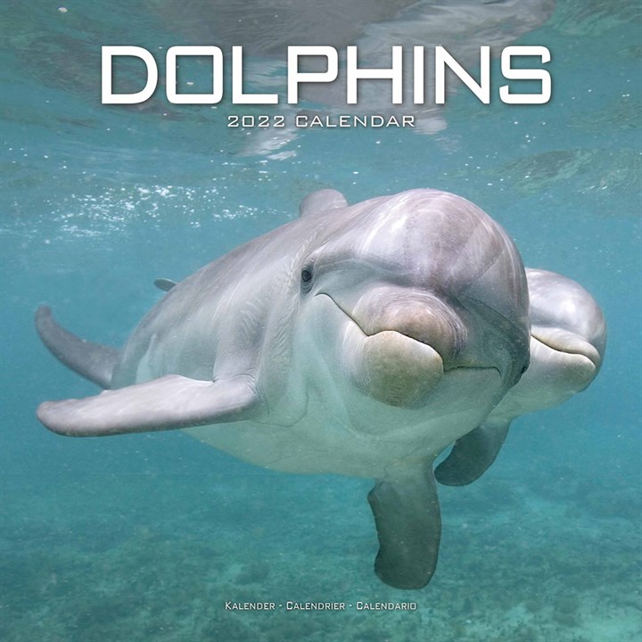 Dolphins Calendar 2022