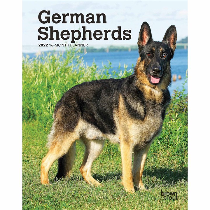 German Shepherds A5 Diary 2022