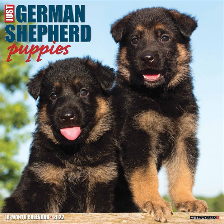 German Shepherd Puppies Calendar 2022