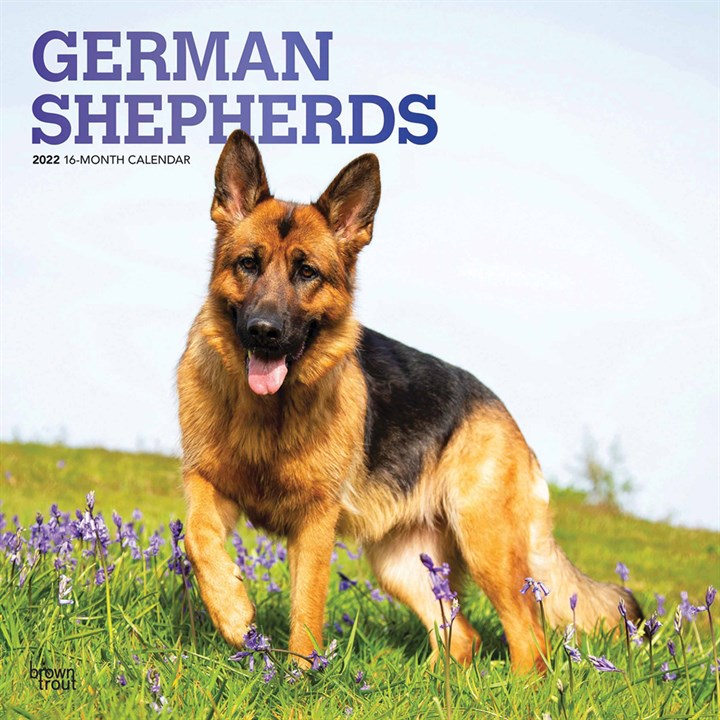 German Shepherds Calendar 2022