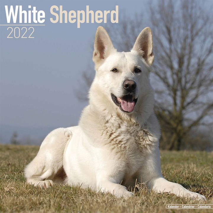 White Shepherd Calendar 2022