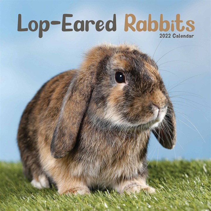 Lop-Eared Rabbits Calendar 2022