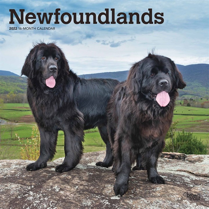 Newfoundland Calendar 2022