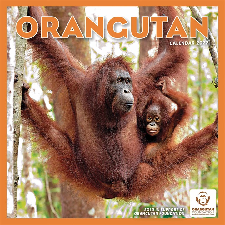 Orangutan Calendar 2022