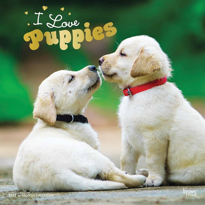 I Love Puppies Calendar 2022