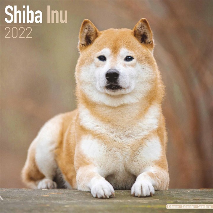 Shiba Inu Calendar 2022