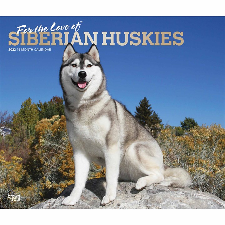 For The Love Of Siberian Huskies Deluxe Calendar 2022